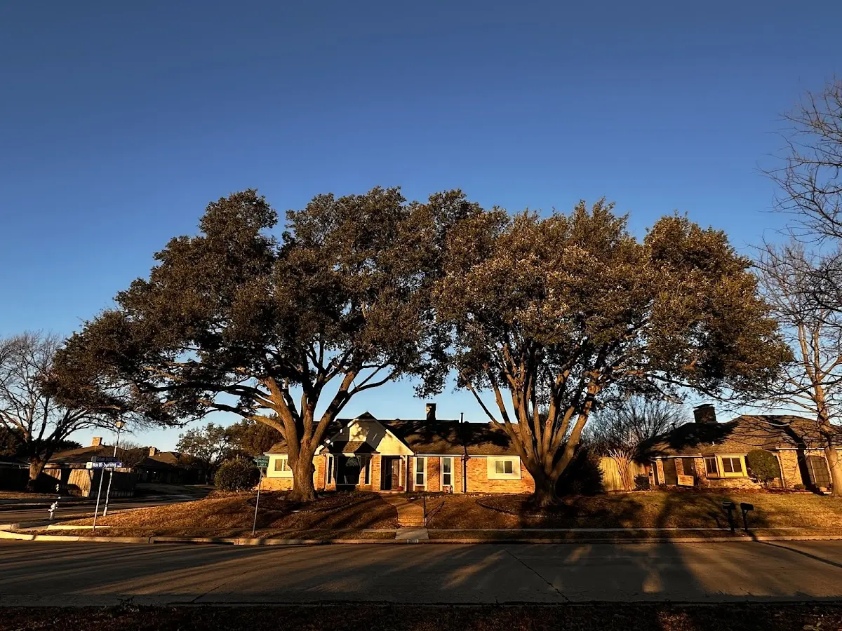 Established residential canopy tree shading a home in Atqasuk